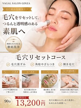 バーガルサロンギンザ(VAGAL SALON GINZA)の写真/【芸能人御用達の肌質改善サロン】毛穴の黒ずみ・開きやニキビにアプローチ[銀座駅30秒の好立地◎]