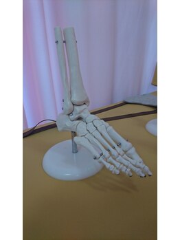 同心整体院/足の骨