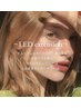 【LEDエクステ】セーブル60本　￥5400　【初回オフ無料】