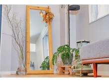 スプラウト(sprout)/