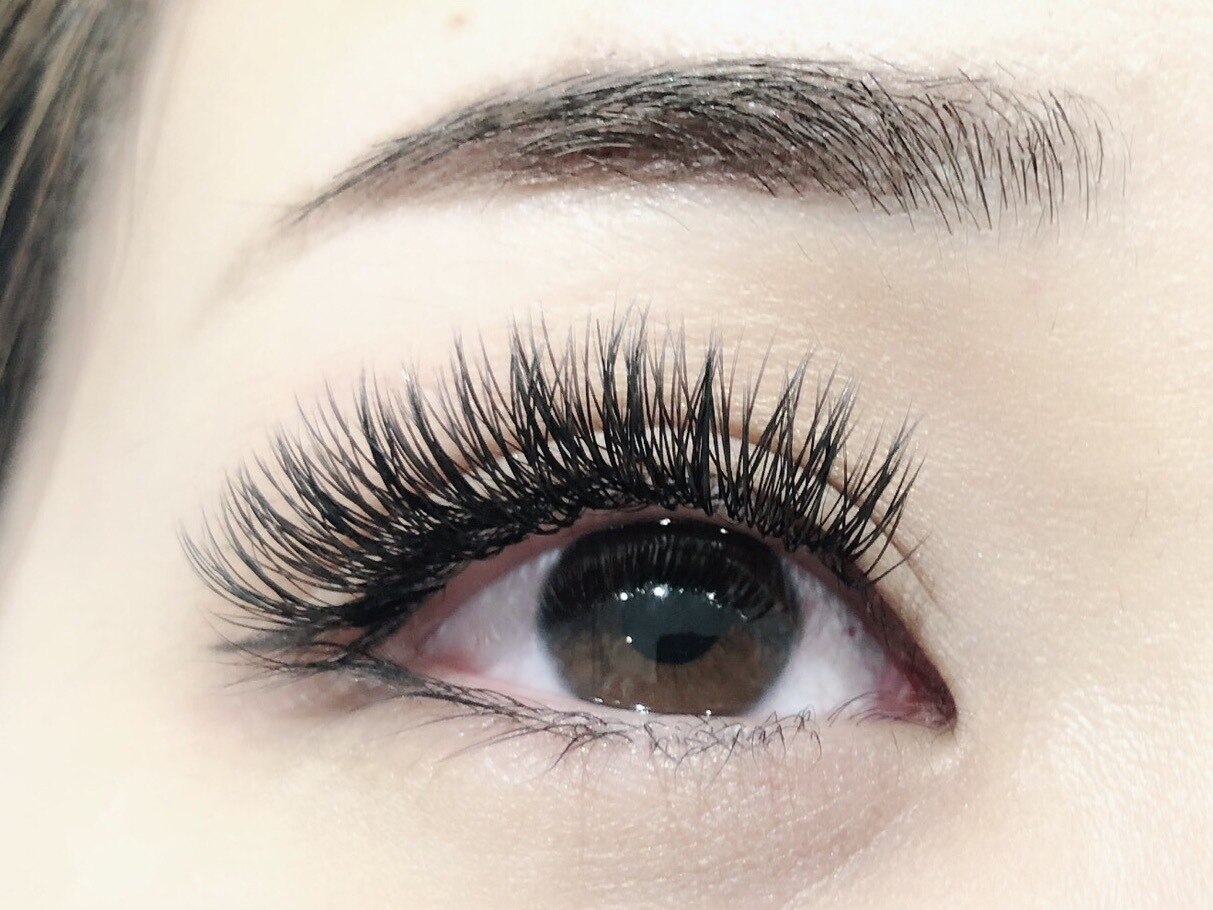 持続力&軽さ柔らかさ抜群【ロングキープラッシュ】80束（160目安）￥8000