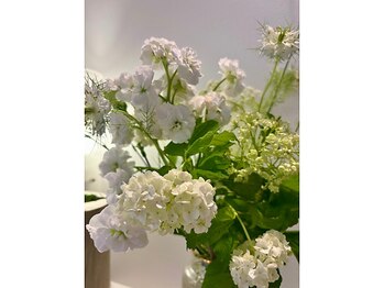 モリタ鍼灸整骨院/10代から90代まで幅広くご利用