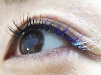 ミニョンアイラッシュデザインサロン くずは店/Mignon's　Color　Collection