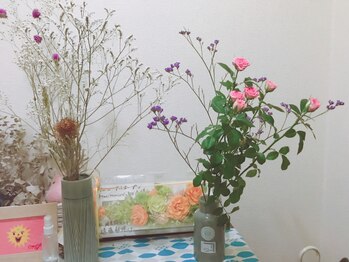 ハミングバード/今日のお花