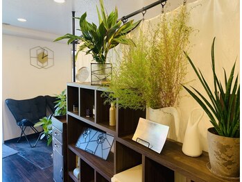 エムアンドコー(m&co.)