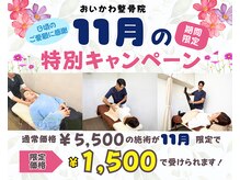 おいかわ整骨院