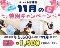 おいかわ整骨院