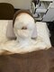 ほぐし処の写真/まずは1回試してみたい方へ。濃密泡小顔リンパフェイシャルで整える至福の時間☆