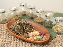 ジュエルオーキッド(Jewel orchids)/おかま直伝よもぎ蒸し