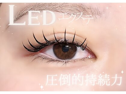 エル(aiLe)の写真