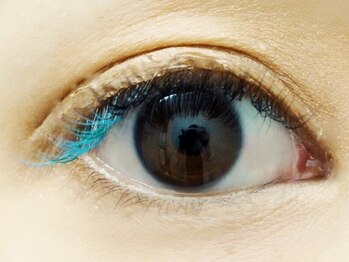 ミニョンアイラッシュデザインサロン くずは店/Mignon's　Color　Collection