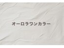 オーロラワンカラー 