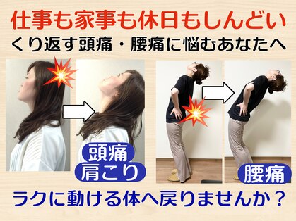 ニコ(nico)の写真