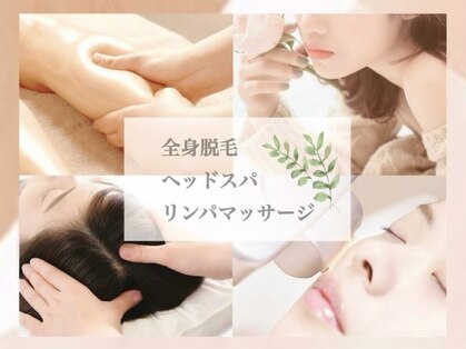 ステラ(Stella)の写真