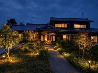 シロ(shiro)の写真