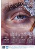 2026年8月末まで!最大3回まで+500円でLEDへ変更可!9月から+1000円