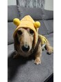 パリス デ スキン 岐阜マーサニジュウイチ店(Paris de skin) 動物大好き★いつもワンコに癒されています。