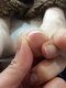 ドクターネイル爪革命 江戸川橋店の写真/【豊富な専門知識でアドバイス】2万人以上の実績◎他店で断られたフットトラブルも諦めずお越しください。