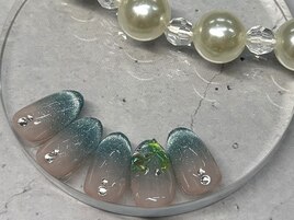 毎月新作5種