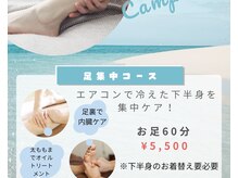 アビエスフィルマ(abies firma)
