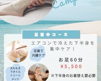 アビエスフィルマ(abies firma)