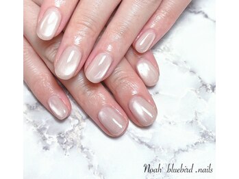 ノアブルーバードネイルズ(Noah' bluebird .nails)/お洒落度抜群！シルキーマグ