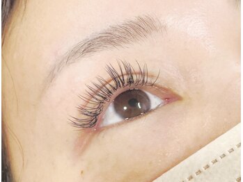 ユーアンドワイ(Yu&Y)/フラットラッシュ140本