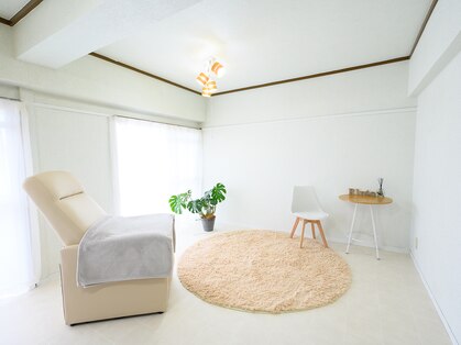 リント(Rinto)の写真