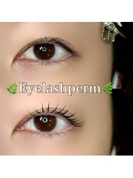 ソプラ 京都駅前店(sopra)/まつ毛パーマ