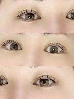 ポタラ(Potala)/1ヶ月に1度のラッシュリフト♪