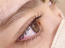 アンドティグルアイ 光の森(&.Tigre eye)/上下まつげカール＊