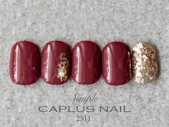 ■シンプルプラン■ 2511