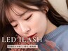 〔初回〕LEDマツエク(フラットラッシュ)150本＋専用アイシャンプー ￥8,000