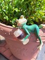 ヒトイコイ(hitoikoi)&nbsp;どこにいるかな？探してみて～！