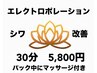 エレクトロポレーション＋パック中マッサージ　30分　¥5,800