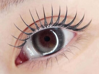 シユク 本八幡店(SHIYUKU)の写真/【あなたの目元をもっと美しく★】トレンド感のある目元で、一気に垢抜け！まつ毛を長く魅せるデザインカ◎