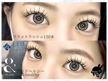 バニーラッシュ(Bunny Lash)/【アンドヘルシー】