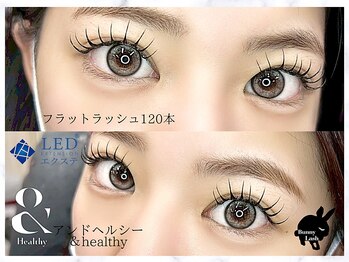 バニーラッシュ(Bunny Lash)/【アンドヘルシー】