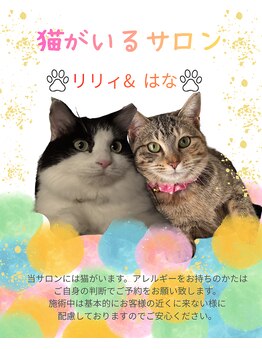 プアリリア(pua lilia)の写真/【稲毛海岸駅徒歩3分・猫がいるサロン】周りを気にせずゆったり過ごせる癒しの完全個室プライベートサロン