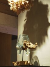 レム(Lem)/流木に垂れる水槽