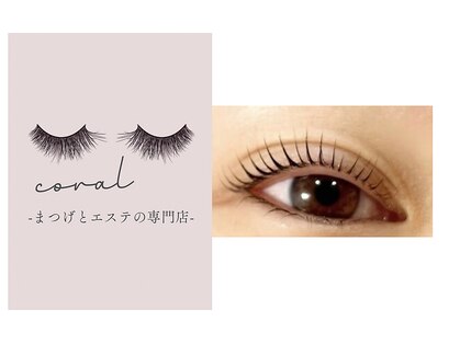 コーラル(coral)の写真