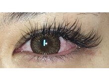 クインビー(Queen Bee)/【ボリュームプラス100本】