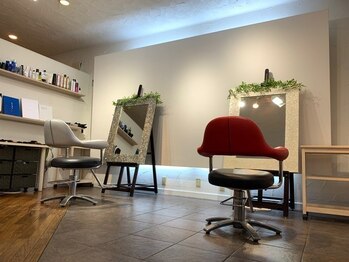 ビートルアイディー(Beetle ID)/