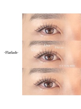 カメリア(CAMELLIA)/フラットラッシュ160本