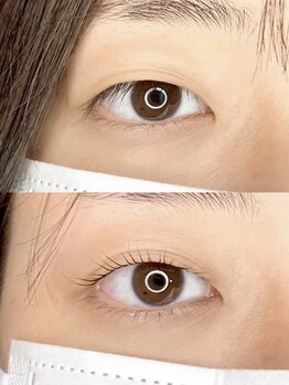 ダーム ド ローズ(Dame de rose)/【まぶたが上がるまつ毛パーマ】