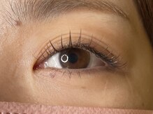 ラシク ベル(Lashiku Belle)/フラットラッシュ120本