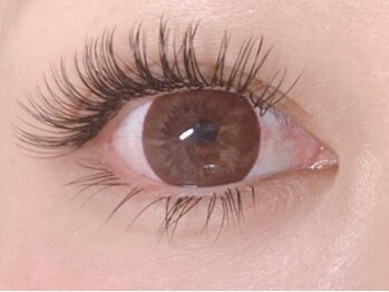 シュシュ(chou chou)/アップワードラッシュ(chouchou)