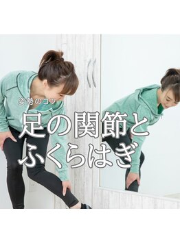 はたらくからだ研究所/足の関節とふくらはぎ