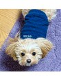 薫風&nbsp;わんちゃんが大好きです♪!スタッフのまるちゃん★