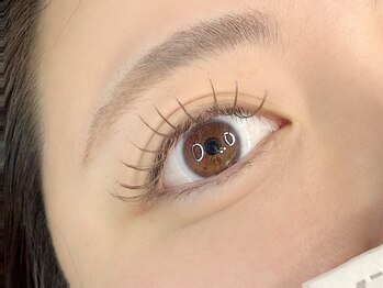 スターズ(Stars)/フラットラッシュ140本